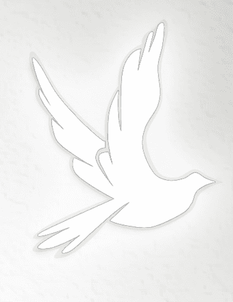 Cristina Niculae Obituary